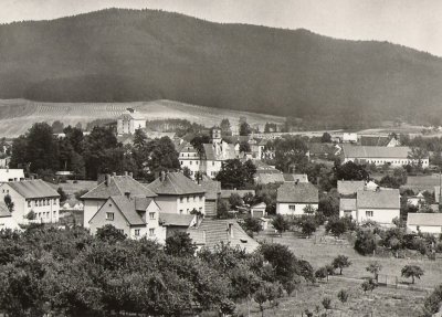 Historická pohlednice Žichovic - celkový pohled